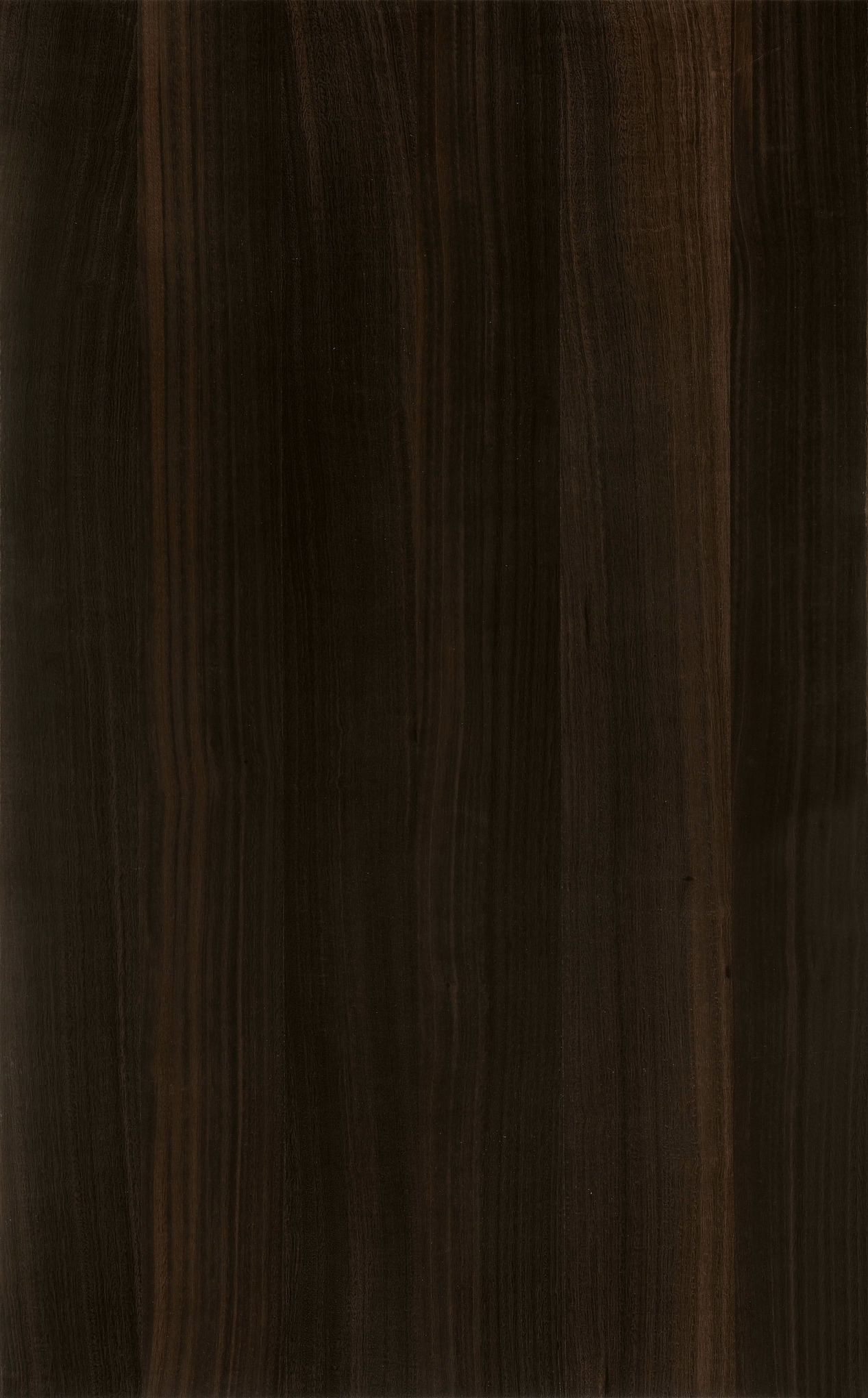 Laminato - Eucalipto Carbon