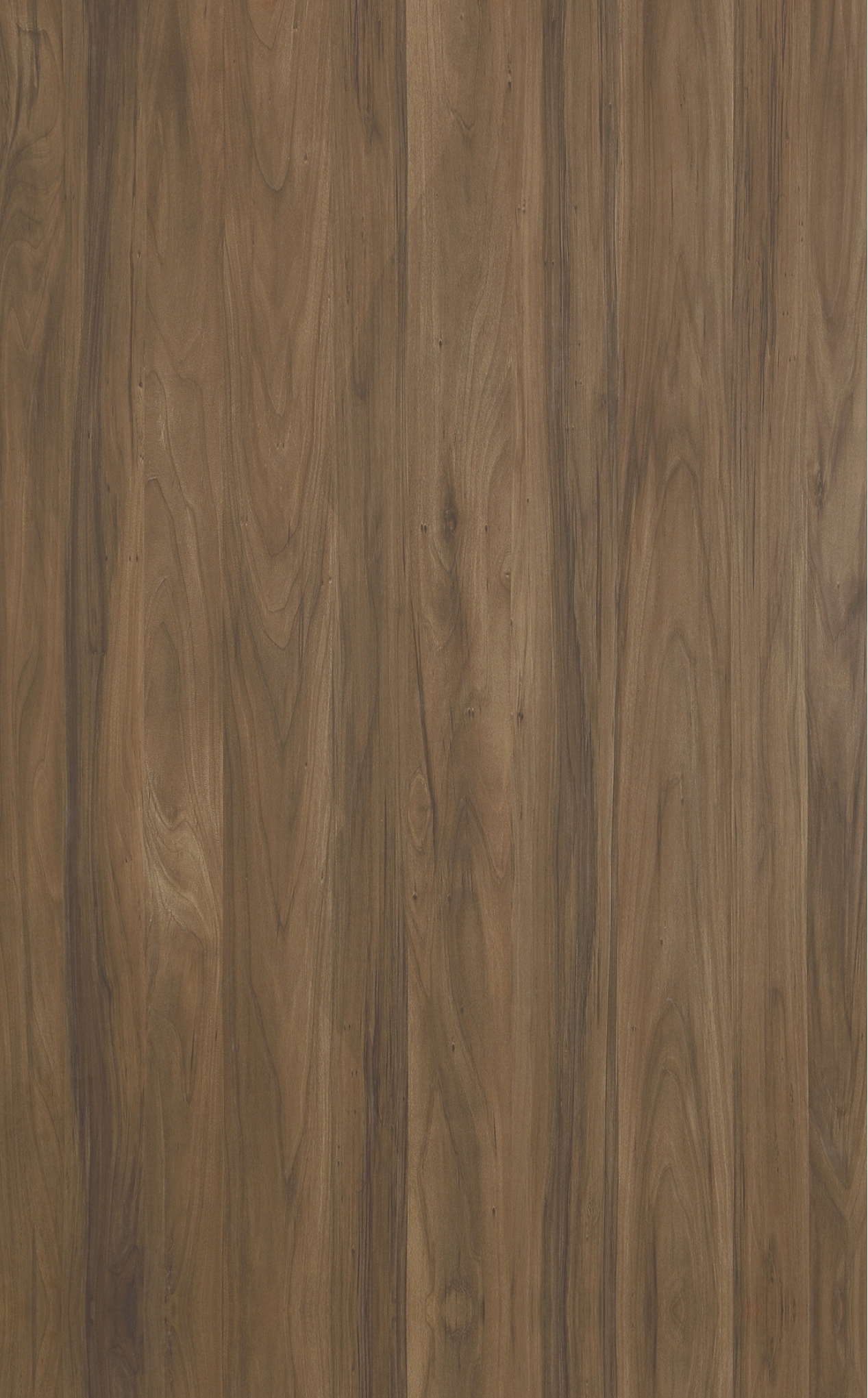 Laminato - Noce Avana