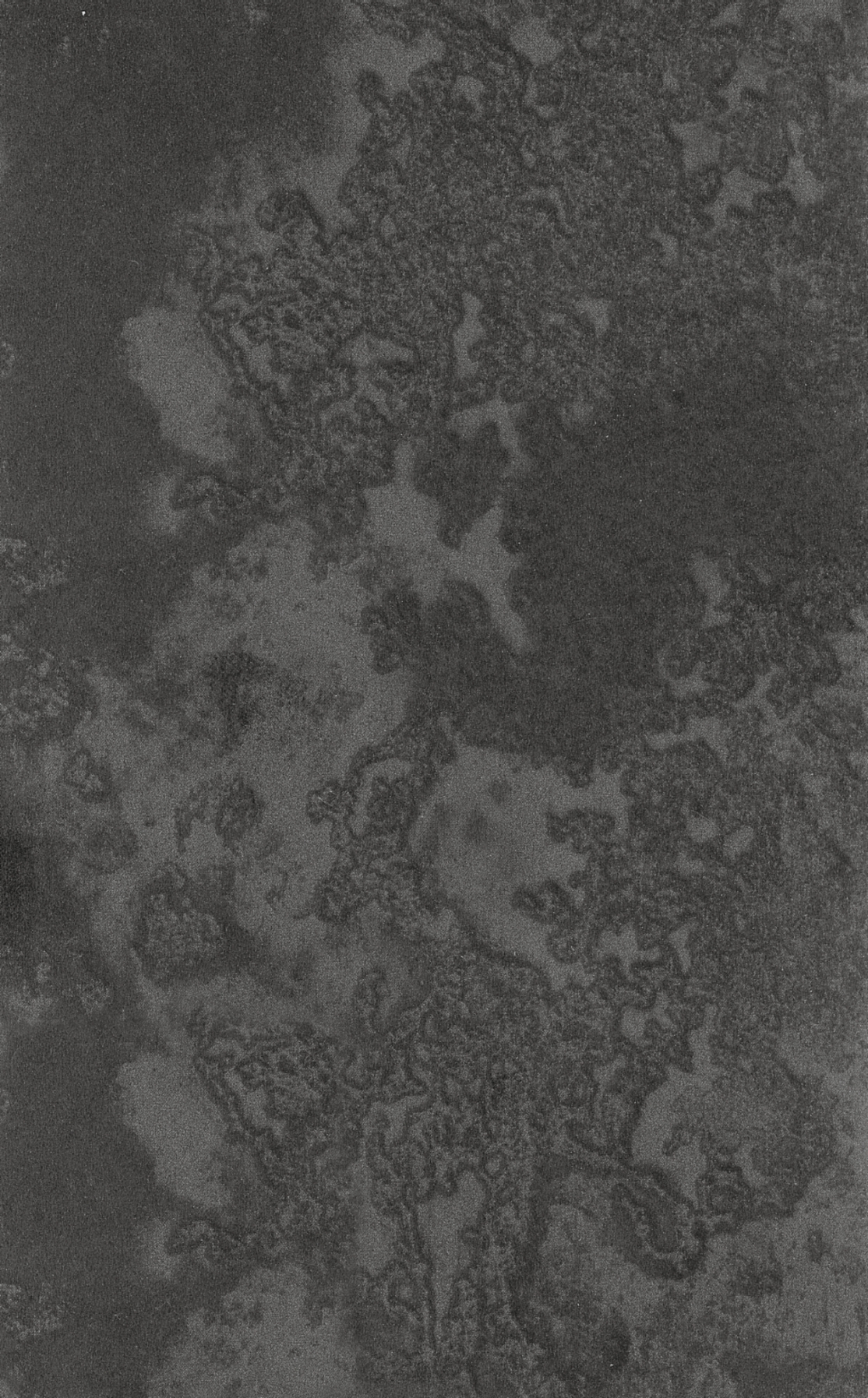 Laminato HPL - Cesar Brown