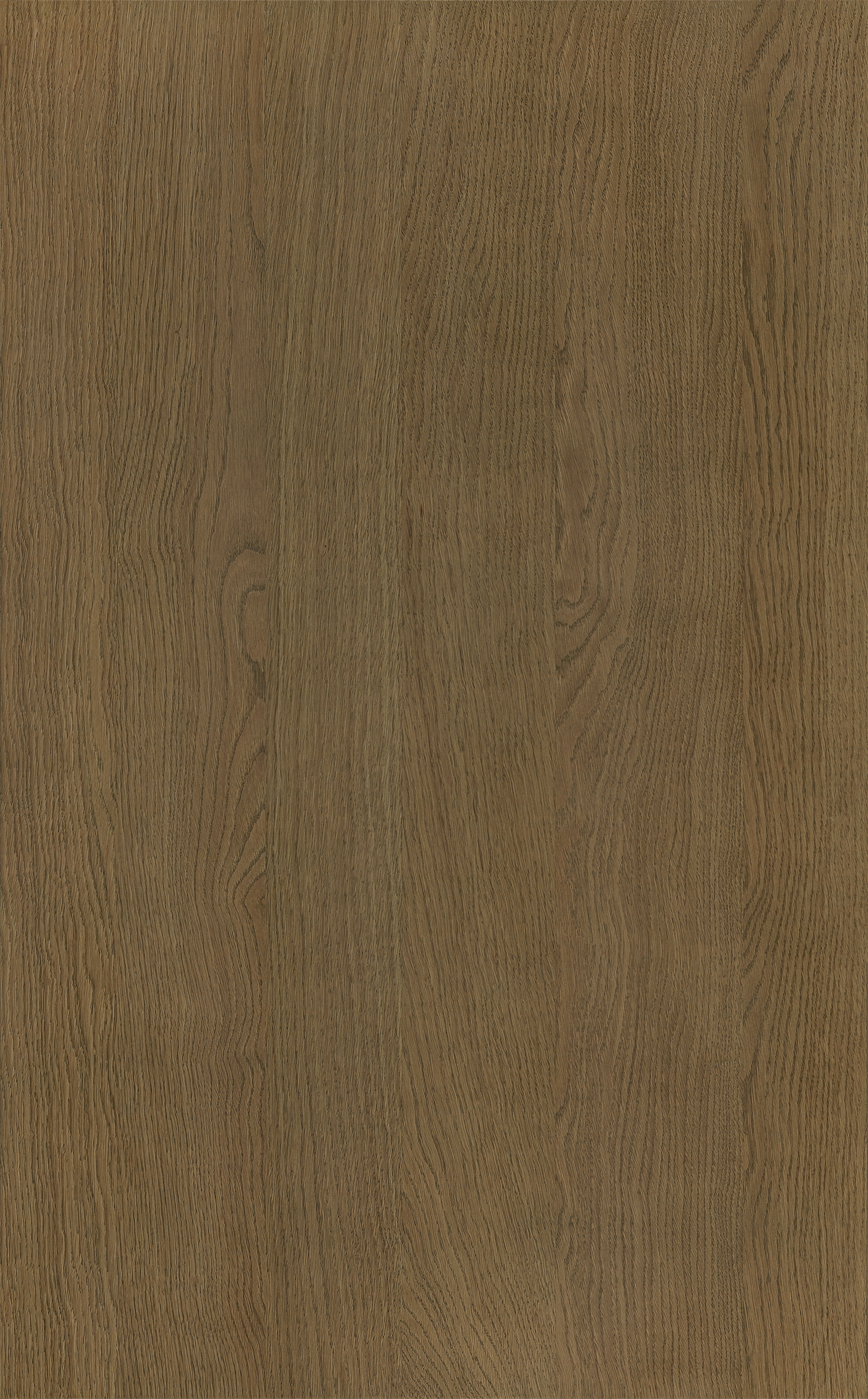 Impiallacciato - Rovere Cenere